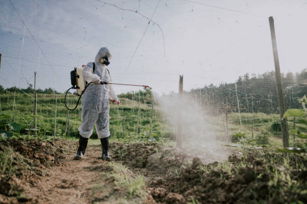 Best Affordable Pest Control Services  in Honey Grove, TX