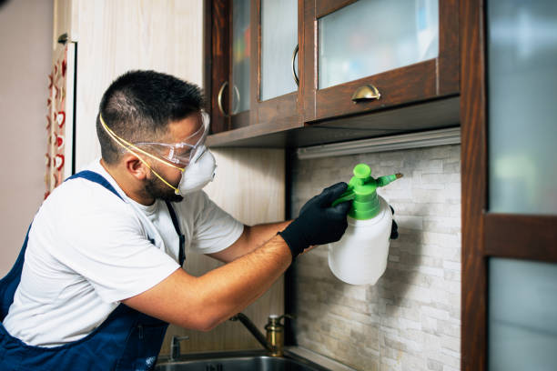 Best Pest Control Near Me  in Honey Grove, TX