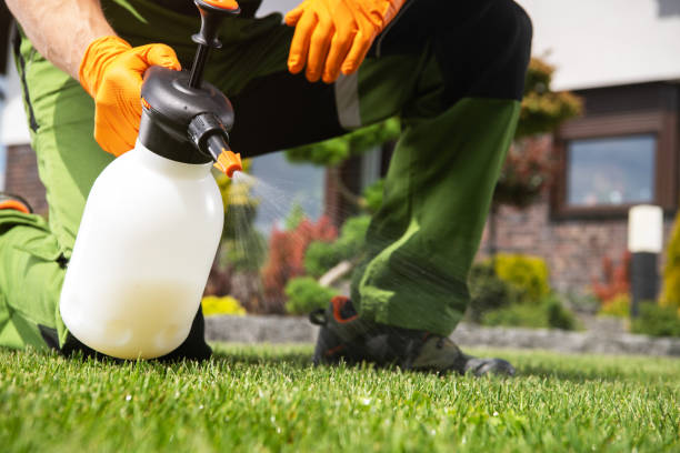 Best Local Pest Control Services  in Honey Grove, TX
