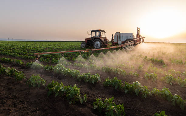 Best Pest Control Near Me  in Honey Grove, TX