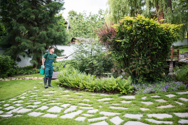 Best Affordable Pest Control Services  in Honey Grove, TX