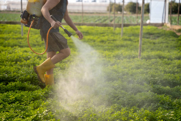 Best Pest Prevention Services  in Honey Grove, TX