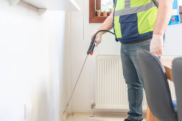 Best Termite Control Services  in Honey Grove, TX
