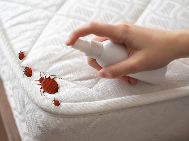  Honey Grove, TX Pest Control Pros