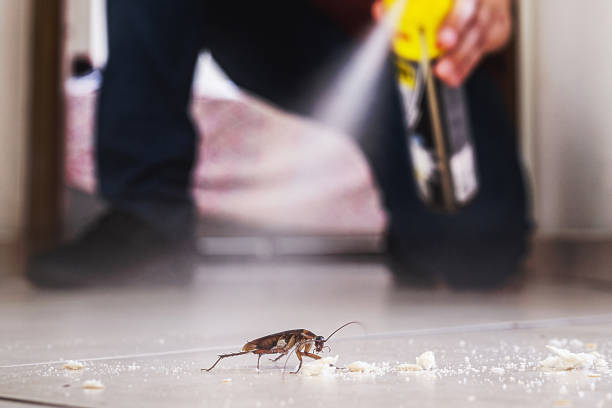 Best Pest Control for Homes  in Honey Grove, TX