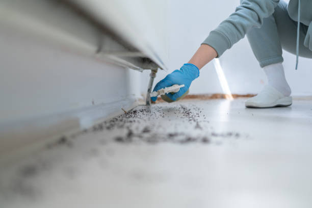 Best Residential Pest Control  in Honey Grove, TX